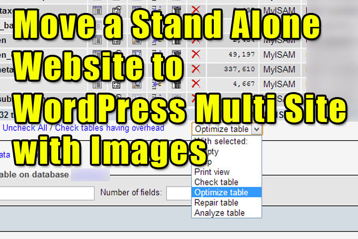 Move-stand-alone-wordpress-to-multi-site